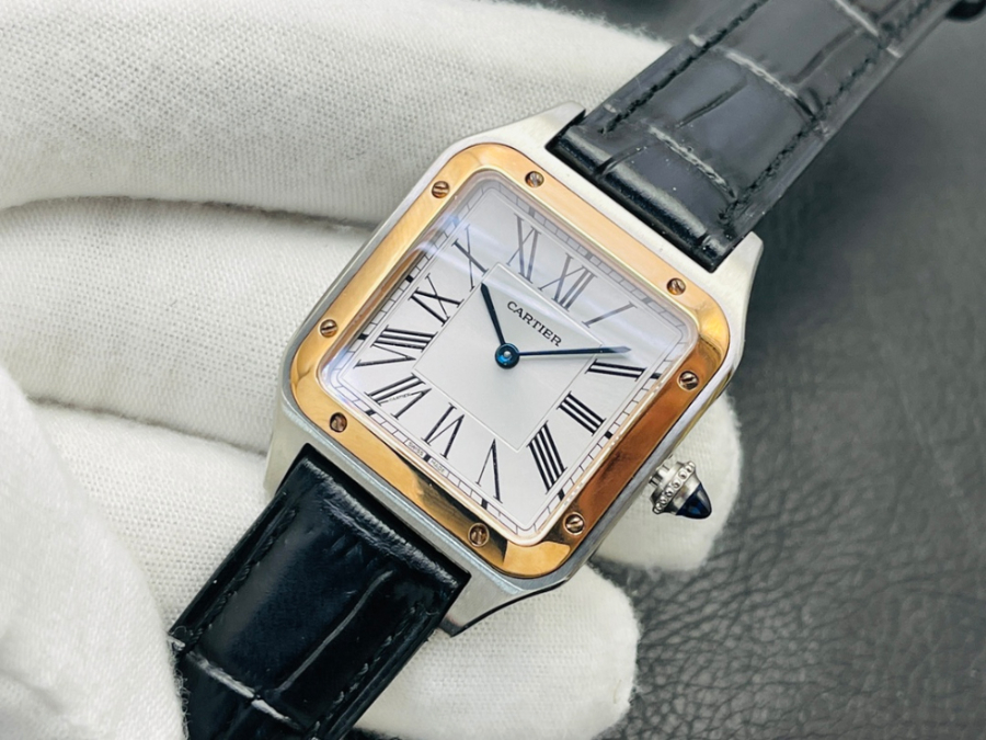 cartier_xxxxx_big_00003.jpg